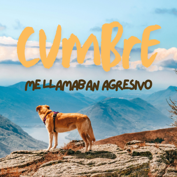 Cumbre - Me llamaban agresivo