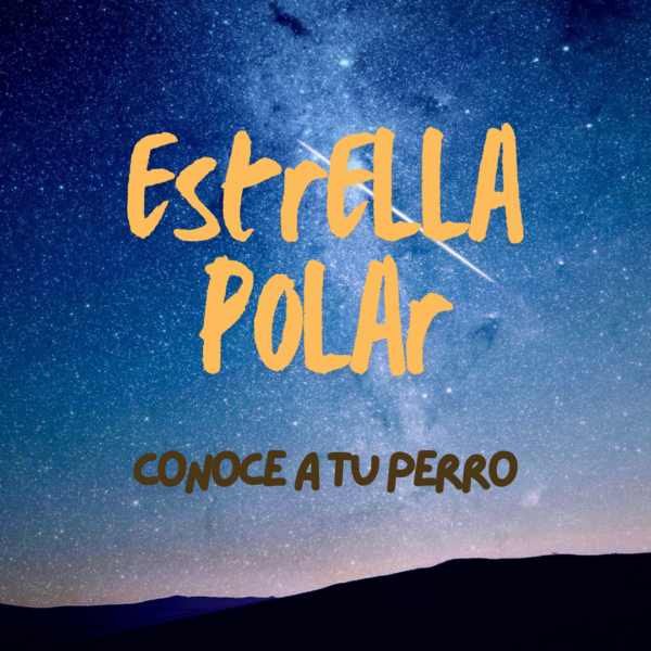 ESTRELLA POLAR - Conoce a tu perro