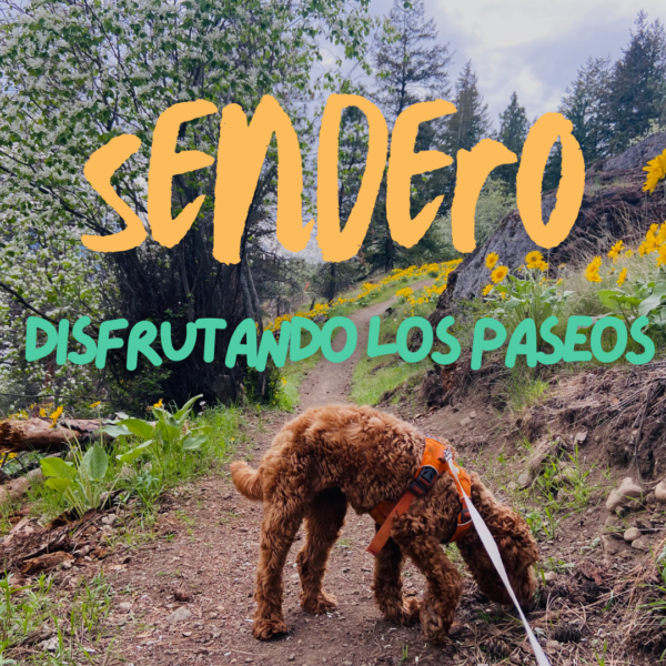 SENDERO - Mejorando el paseo